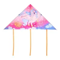 Воздушный змей Funny toys &laquo;Верь в чудеса&raquo;, 70&times;105 см