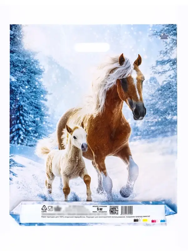 Пакет подарочный, новогодний «Дуэт», полиэтиленовый с вырубной ручкой, л 45×38 см, 60 мкм