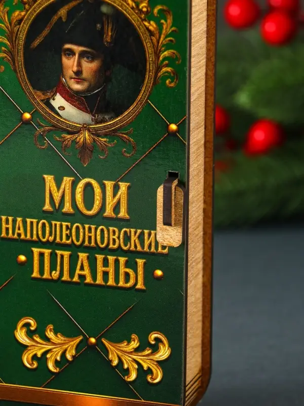 Купюрница  Купюрница "Мои наполеоновские планы" 17х8,5 см