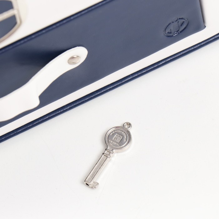 Шкатулка кожзам для украшений  Шкатулка кожзам для украшений "Шейла" белая с синим 25,5х18,5х14 см