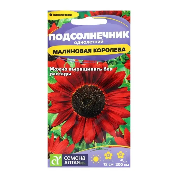 Семена цветов Подсолнечник  Семена цветов Подсолнечник "Малиновая Королева", ц/п,  О, 0,3 г.