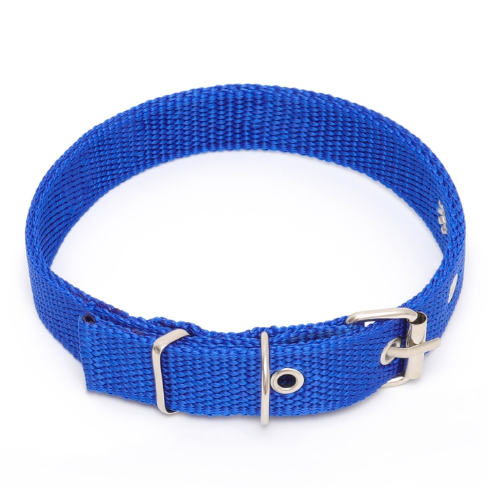 Ошейник клёпаный, 40,5 х 2 см, ОШ 26-34 см, полиэстер, синий Ошейник клёпаный, 40,5 х 2 см, ОШ 26-34 см, полиэстер, синий