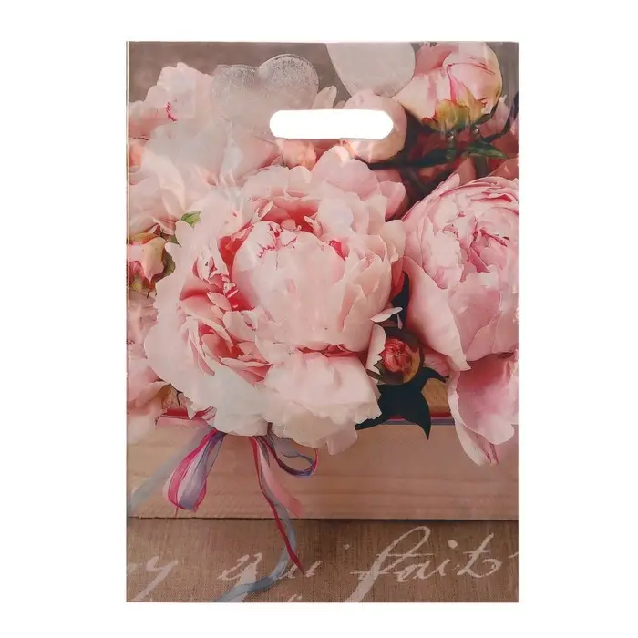 Пакет «Бенефис», полиэтиленовый с вырубной ручкой 29×40 см, 35 мкм Пакет «Бенефис», полиэтиленовый с вырубной ручкой 29×40 см, 35 мкм