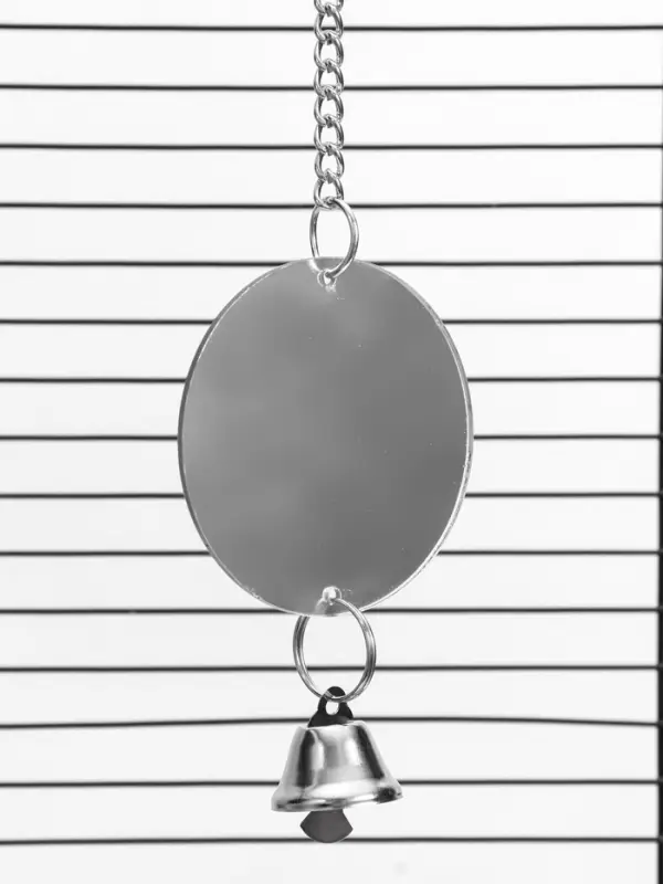 Игрушка для птиц &laquo;Зеркало двойное&raquo;. 23&times;7 см, с колокольчиком