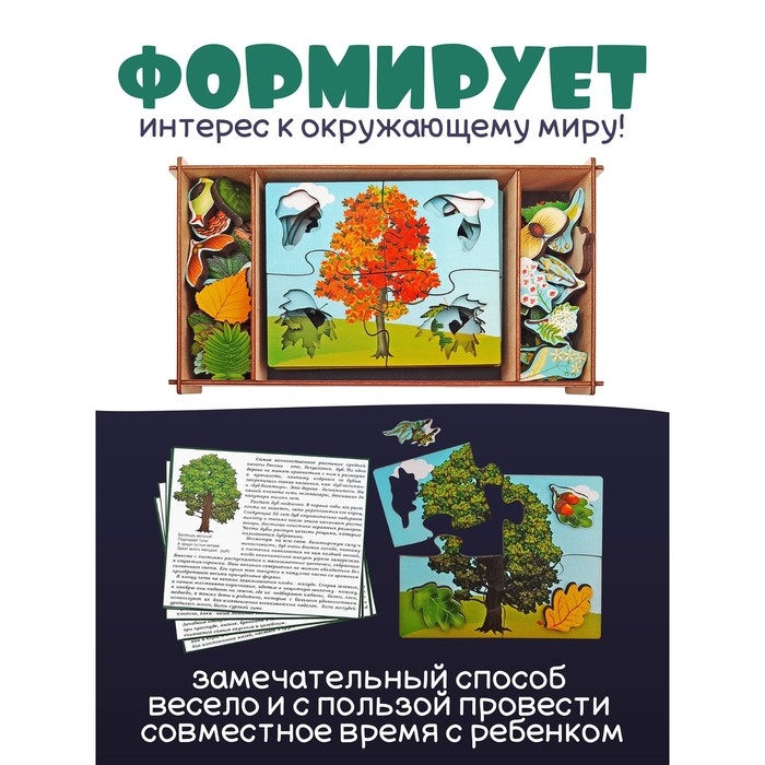 Деревянные пазлы «Деревья и что на них растёт»
