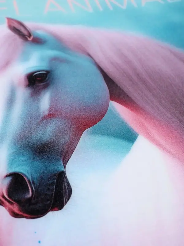 Тетрадь 96л кл Hatber "Pastel Animals", пласт обл с печатью, 60-65г/м&sup2; 5В МИКС