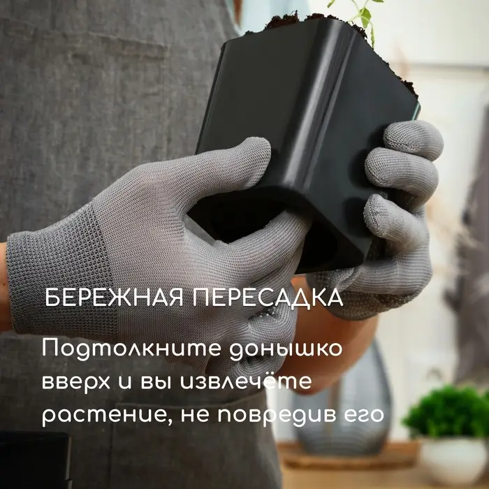 Горшок для рассады, 300 мл, d=7.5 см, h=7.5 см, пластик, чёрный, Greengo Горшок для рассады, 300 мл, d=7.5 см, h=7.5 см, пластик, чёрный, Greengo