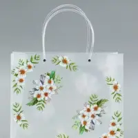 Пакет подарочный прозрачный &laquo;Самой лучшей&raquo;, 30&times;26&times;12 см