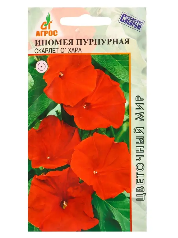 Семена Ипомея пурпурная Семена Ипомея пурпурная "Скарлет О`Хара" 1 г