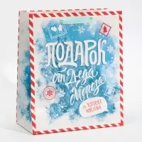 Пакет подарочный новогодний ламинированный &laquo;Подарок от Деда Мороза&raquo;, ML 23&times;27&times;11.5 см
