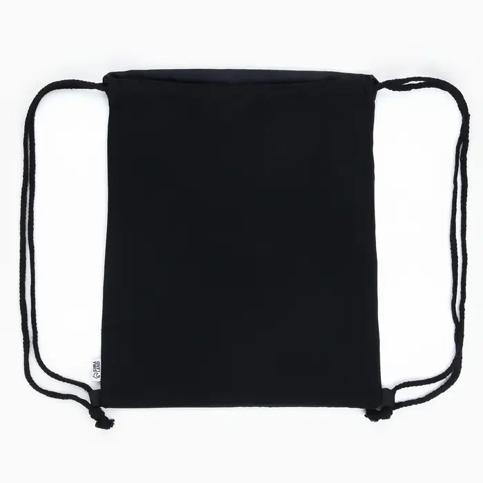 Мешок для обуви, T-REX, (текстиль) 41×34 см Мешок для обуви, T-REX, (текстиль) 41×34 см