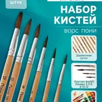 Набор кистей для рисования, пони, 6 штук: № 2, 4, 6, 8, 10, 12, круглые, деревянная ручка, международный размер