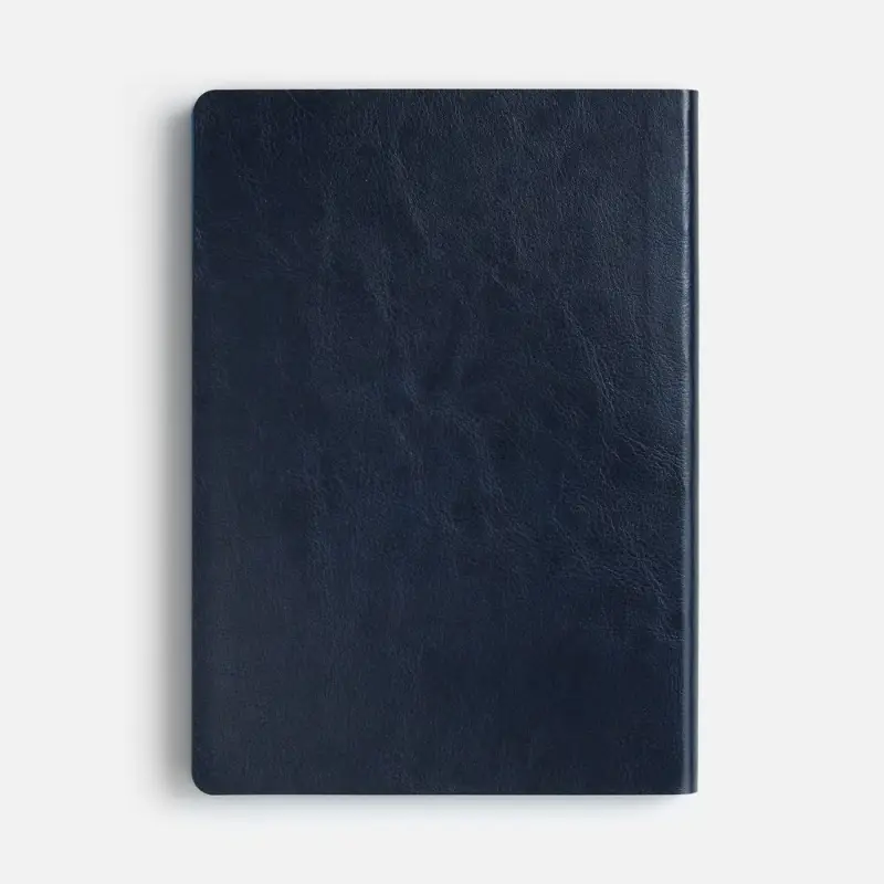 Ежедневник Doppio, недатированный, синий с голубым Ежедневник Doppio, недатированный, синий с голубым