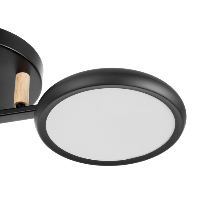 Люстра Люстра "Алис" 3хLED 72Вт 3000-6000К черный 52х52х13 см