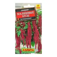 Набор семян Амарант "Малиновые бусы", О, 5 шт. Набор семян Амарант "Малиновые бусы", О, 5 шт.