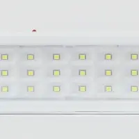 Светильник светодиодный аварийный постоянный DBA-105-0-20 30LED 5ч IP20 40/1600