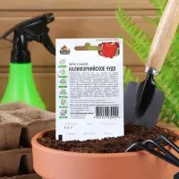 Семена Перец сладкий "Калифорнийское чудо", раннеспелый, 0,1 г серия ХИТ х3 Семена Перец сладкий "Калифорнийское чудо", раннеспелый, 0,1 г серия ХИТ х3