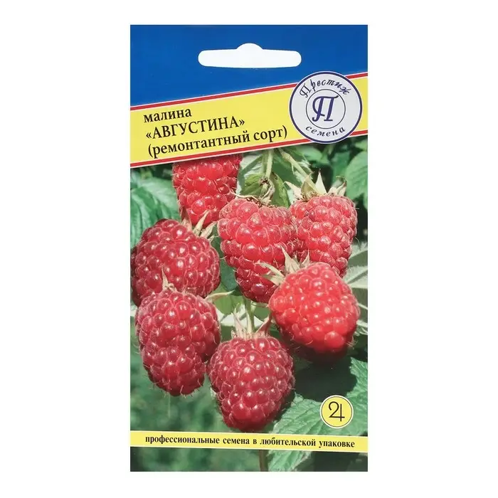Семена Малина ремонтантная  Семена Малина ремонтантная "Августина" , 10 шт