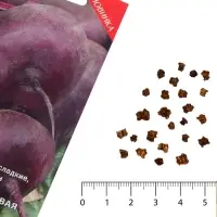 Семена Свекла столовая &laquo;Сластёна&raquo;, 3 г, &laquo;ПОИСК&raquo;