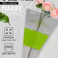 Пакет конус для цветов, с нетканым материалом, 26+7×37 см, салатовый