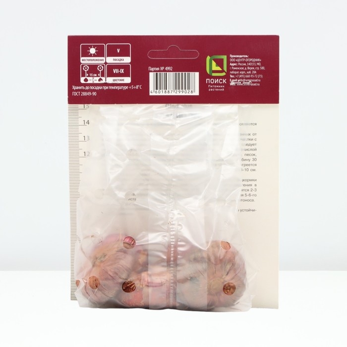 Гладиолус крупноцветковый «Шинон», луковица цветов в пакете с перфорацией, р-р 12/14, 5 шт.