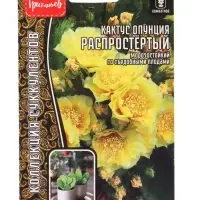 Семена цветов Кактус Распростёртый опунция 4 шт. / НОВИНКА  12.29 г.