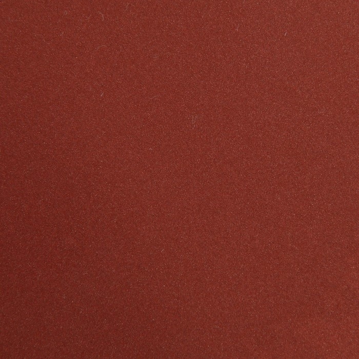 Круг абразивный шлифовальный под  Круг абразивный шлифовальный под "липучку" ТУНДРА, 125 мм, Р600, 10 шт.