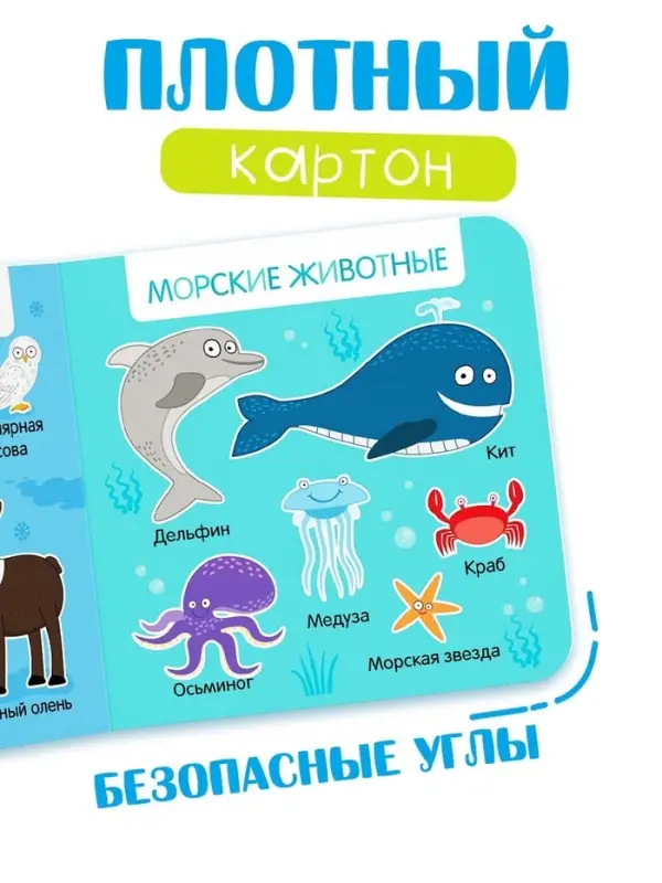 Картонная книга &laquo;Первая книга. Удивительные животные&raquo;, 10 стр., 15&times;15 см, Синий трактор