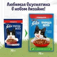 Влажный корм Felix Природа вкуса для кошек, говядина, 75 г