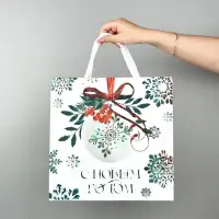 Набор новогодних пакетов &laquo;Новогодняя пора&raquo;