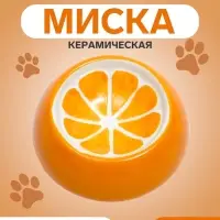 Миска для грызунов &laquo;Апельсинка&raquo;, 30 мл, 7.7&times;2.3 см, керамика, оранжевая