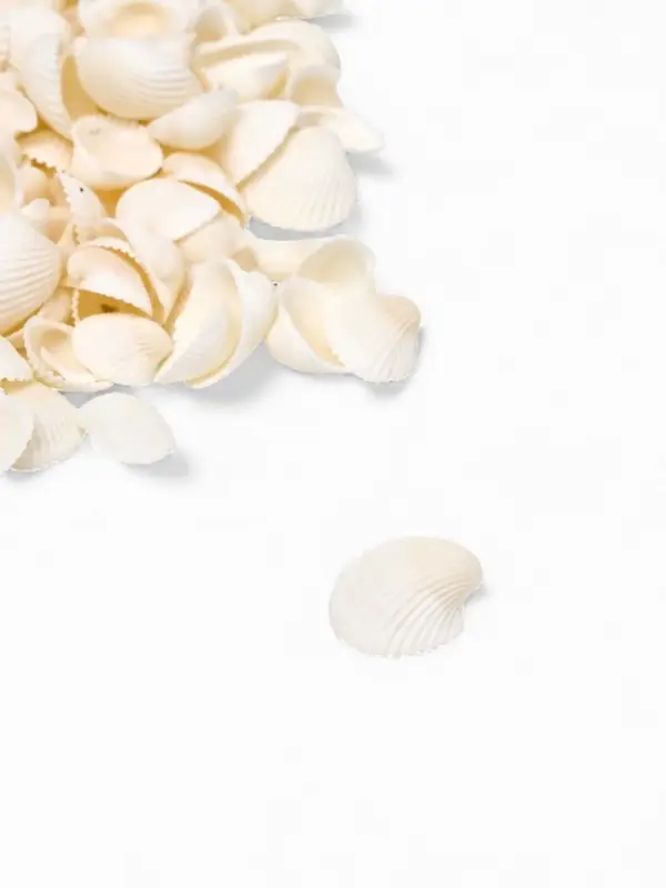 Набор ракушек декоративных 1.5-3 см, 100 г