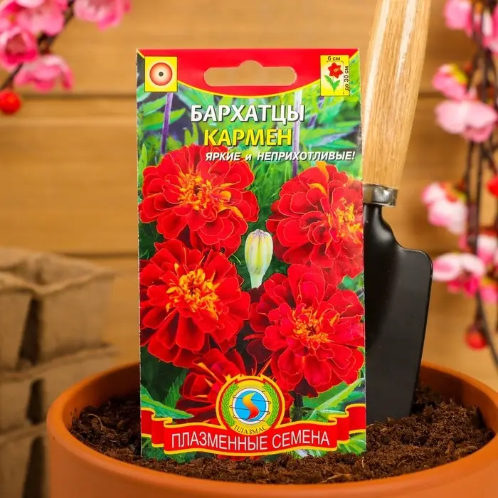 Семена Бархатцы  Семена Бархатцы "Кармен", красные с желтым, 45 шт