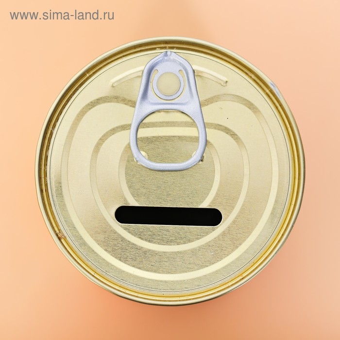 Копилка-банка металл Копилка-банка металл "Коплю на развлечения"