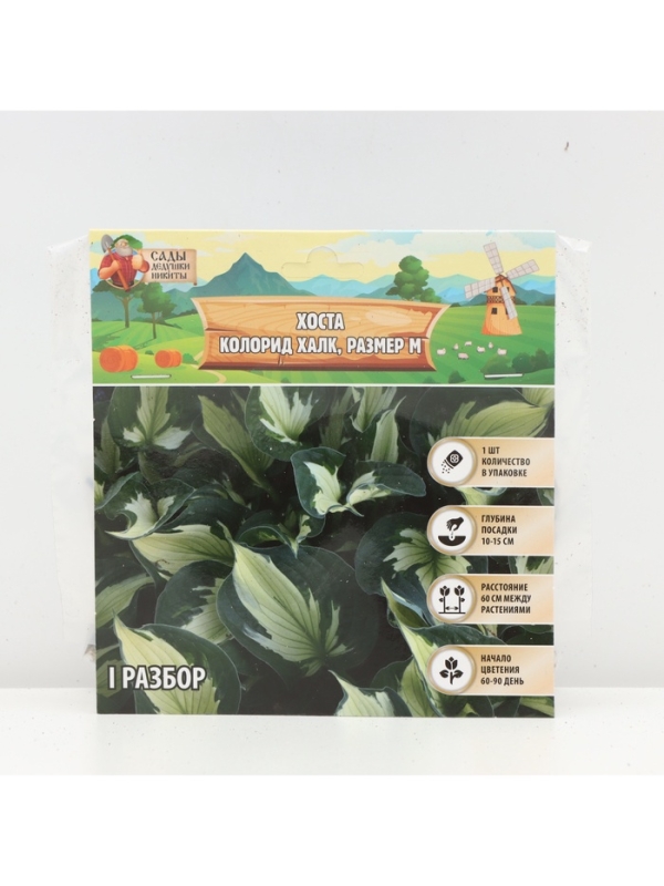 Хоста Colored Hulk, корневище в пакете с торфогрунтом, р-р I, размер M,1 шт.