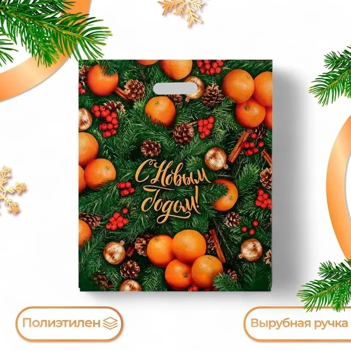 Пакет «Спелая зима», полиэтиленовый с вырубной ручкой, 40×47 см Пакет «Спелая зима», полиэтиленовый с вырубной ручкой, 40×47 см