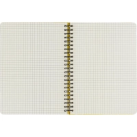 Бизнес-тетрадь  ароматизир.100л,кл,А5, КЛЕМЕНТИН,спир,тонир.блок 84906