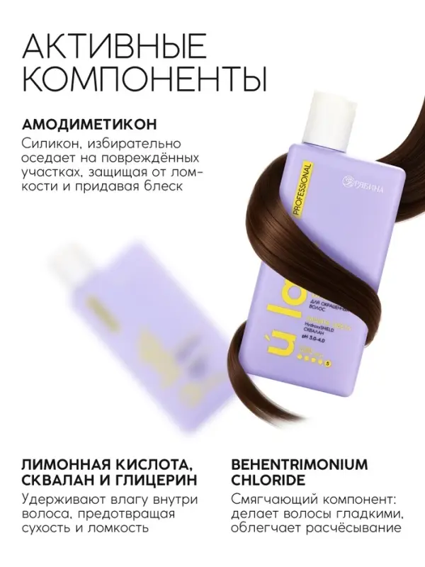 Подарочный набор &laquo;Защита цвета&raquo;: шампунь 250 мл, бальзам 250 мл, Ural Lab