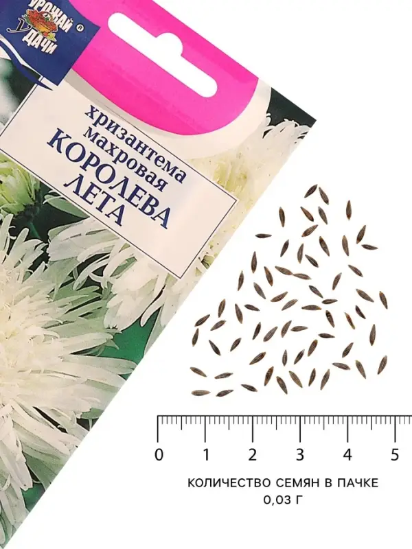 Семена цветов Хризантема многоцветковая &laquo;Королева лета&raquo;, 0.03 г, &laquo;УРОЖАЙ УДАЧИ&raquo;