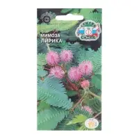 Семена цветов Мимоза "Лирика", стыдливая, розовая, Евро, 0,1 г Семена цветов Мимоза "Лирика", стыдливая, розовая, Евро, 0,1 г