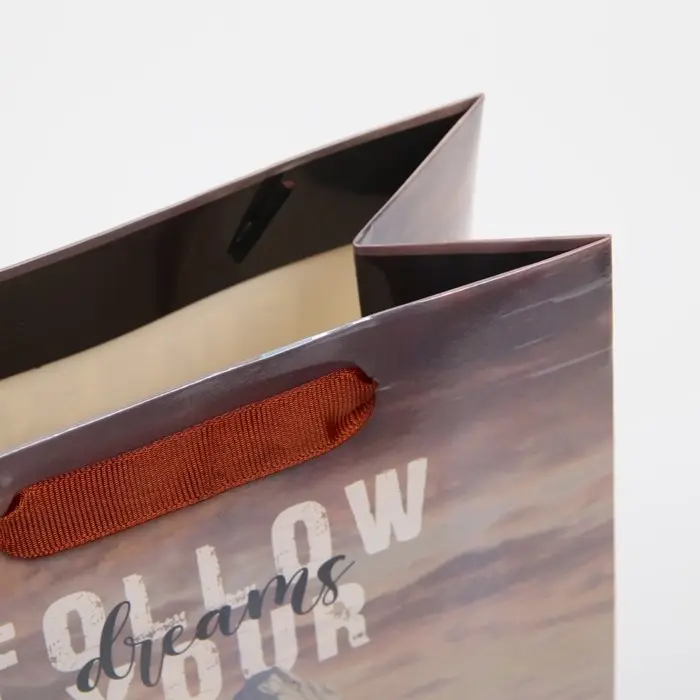 Пакет подарочный ламинированный, упаковка, «Гора», радужная голография, MS 18 х 23 х 10 см