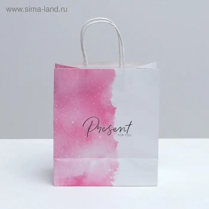 Пакет подарочный крафтовый, упаковка, &laquo;Present for you&raquo;, 22&times;25&times;12 см