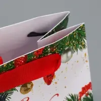 Пакет подарочный новогодний ламинированный квадратный «Яркие краски», 14 х 14 х 9 см Пакет подарочный новогодний ламинированный квадратный «Яркие краски», 14 х 14 х 9 см