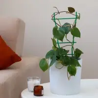 Шпалера, 32 &times; 19 &times; 0.5 см, пластик, зелёная