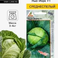 Семена Капуста белокочанная &laquo;Нью-Йорк&raquo;, F1, 15 шт., &laquo;Агрос&raquo;