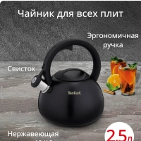 Чайник Kettle ss induction N4180417, для всех видов плит