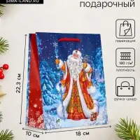 Пакет подарочный новогодний ламинированный, &laquo;Новогодний набор &raquo;, 18&times;10&times;22.3 см