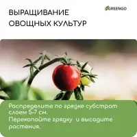 Субстрат кокосовый, универсальный, для террариумов и растений, в брикете, 25 л, Greengo