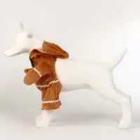 Костюм "Новогодняя печенька", M (ДС 25 , ОГ 37 см)