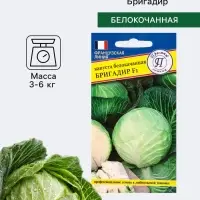 Семена Капуста белокочанная &laquo;Бригадир&raquo;, F1, 10 шт., &laquo;Престиж семена&raquo;